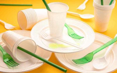 Les diverses alternatives en termes de vaisselle jetable