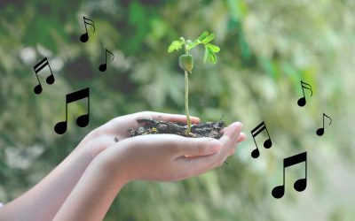 Les meilleures chansons écologistes françaises et internationales à écouter