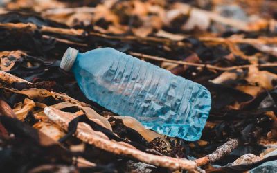 Combien de temps met le plastique pour se dégrader dans la nature ?