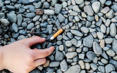 Combien de temps met un mégot pour se dégrader dans la nature ?