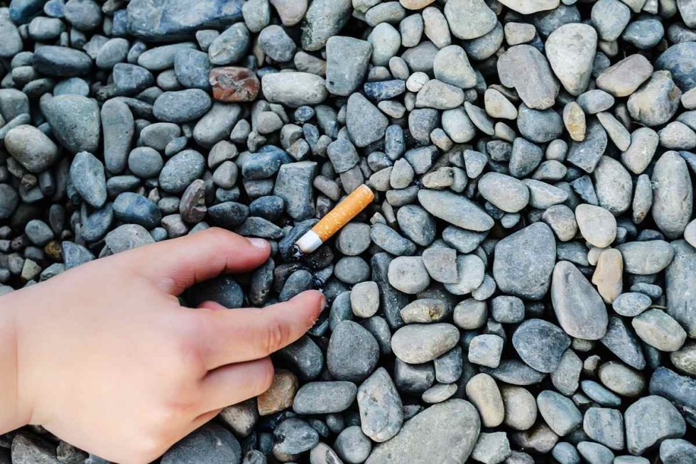 Combien de temps met un met à se dégrader dans la nature