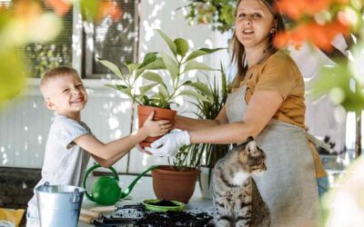 Quand rempoter une plante d&rsquo;extérieur ?