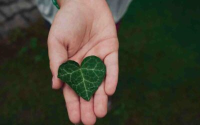 Avons-nous des devoirs envers la nature : analyse philosophique et solutions concrètes