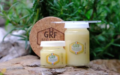 Choisir la meilleure gelée royale bio pour ses besoins