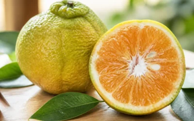 Les fruits en u à connaître