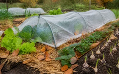 10 légumes à planter en octobre pour préparer l’hiver
