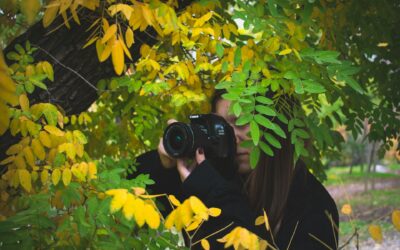 Photographier un nid à distance : les bons réflexes pour faciliter son identification
